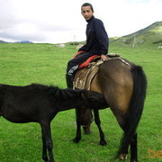  ,   Baki, 51 ,     , c 