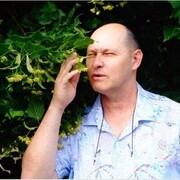 ���������� ������, ���� ������� ���, 66 ���, ������������ ��� ������, ����� � ���������