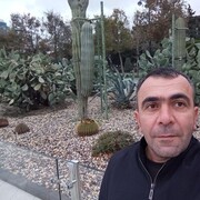  ,   , 41 ,   ,   
