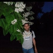  ,   Petr, 44 ,   ,   
