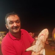  ,   , 48 ,   ,   , 