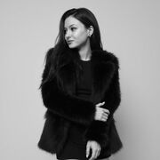 ���������� ������, ���