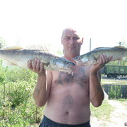  ,   , 58 ,   