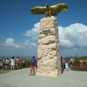  ,   Maga, 41 ,   ,   