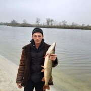 ���������� ��������������, ���� ������� �����, 41 ���, ������������ ��� ������, ����� � ���������