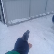 ���������� ������, ���� ������� ������, 38 ���, ������������ ��� ������, ����� � ���������, c�������� ���������