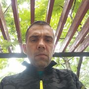  ,   ϸ, 43 ,   ,   