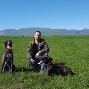 ���������� ������, ���� ������� ������, 47 ���, ������������ 