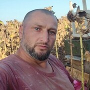 ���������� ���������, ���� ������� ������, 41 ���, ������������ ��� ������, ����� � ���������, c�������� ���������, ���������