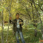  ,   Nemat, 49 ,     , c 
