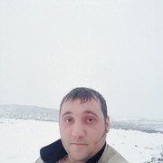  ,   , 41 ,  