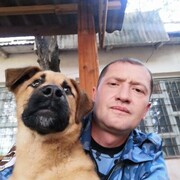   ,   , 43 ,   c 