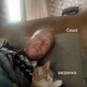 ���������� �������, ���� ������� ���������, 40 ���, ������������ ��� ������, ����� � ���������