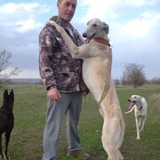 ���������� ����������, ���� ������� ������, 50 ���, ������������ ��� ������, ����� � ���������