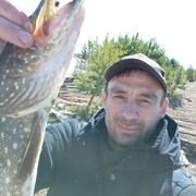 ���������� ����-���, ���� ������� �����, 40 ���, ������������ ��� ������, ����� � ���������, c�������� ���������