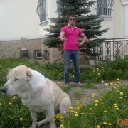  ,   , 44 ,   