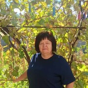 ���������� ����������, ���� ������� ���, 54 ����, ������������ ��� c�������� ���������, ���������