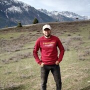 ���������� �����-���������, ���� ������� ����, 31 ���, ������������ ��� ������, ����� � ���������, c�������� ���������, ���������