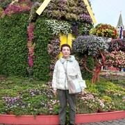  ,   , 51 ,   ,   