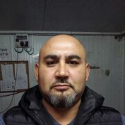  Dolphin,   , 46 ,   ,   