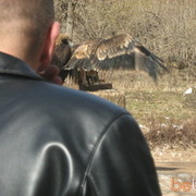 ���������� ���������, ���� ������� ��������, 40 ���, ������������ ��� ������