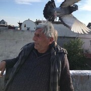  Mercan,  Halil, 55