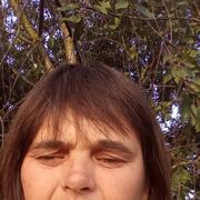   ,   , 44 ,   ,   