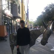  ,   Igors, 48 ,   ,   , c 