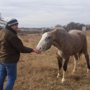 ���������� �����������, ���� ������� ���������, 55 ���, ������������ ��� ������, ����� � ���������, c�������� ���������