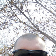 ���������� ����������, ���� ������� ������, 39 ���, ������������ ��� ������, ����� � ���������, c�������� ���������