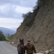 ���������� ���������, ���� ������� �����, 41 ���, ������������ ��� ������, ����� � ���������