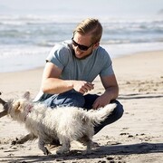 ���������� ������, ���� ������� �������, 44 ����, ������������ ��� ������, ����� � ���������, c�������� ���������