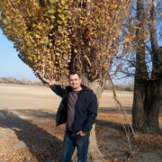 ���������� ������, ���� ������� �������, 38 ���, ������������ ��� ������, ����� � ���������