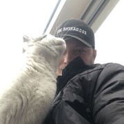 ���������� ������, ���� ������� ���������, 29 ���, ������������ ��� ������, ����� � ���������