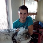  ,   , 38 ,   ,   , c 