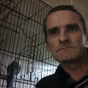  ,   , 48 ,  