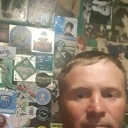  -,   , 43 ,   ,   , 