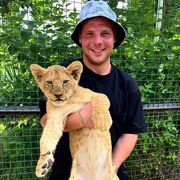 ���������� ������ ��������, ���� ������� SUETA, 28 ���, ������������ ��� ������, ����� � ���������, ���������