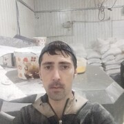  ,   , 31 ,   c 