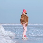 ���������� �������, ���� ������� �����, 44 ����, ������������ ��� ����� � ���������, c�������� ���������