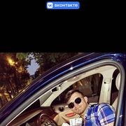 ���������� ������, ���� ����� ����, 25 ���, ������������ ��� ������, ����� � ���������