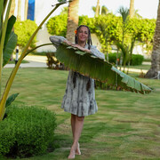 ���������� ����������, ���� ������� �����, 43 ����, ������������ 