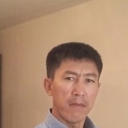  ,  erkosh, 43