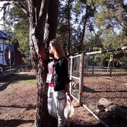  ,   , 26 ,   c , 