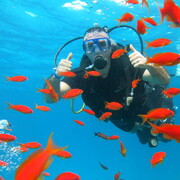 ���������� ������, ���� ������� ������, 40 ���, ������������ ��� ������, ����� � ���������, c�������� ���������