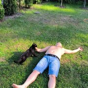  ,   , 35 ,   ,   , 