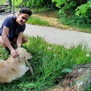 ���������� �����������, ���� ������� Alejandro, 26 ���, ������������ ��� ������, ����� � ���������