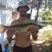 ���������� ����, ���� ������� �����, 35 ���, ������������ ��� ����� � ���������, c�������� ���������