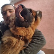 ���������� �����������, ���� ������� �������, 37 ���, ������������ ��� ������, ����� � ���������, c�������� ���������