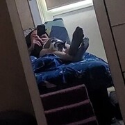 ���������� ���������, ���� ������� ������, 27 ���, ������������ ��� ����� � ���������, c�������� ���������, ���������